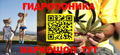 скорость Обь
