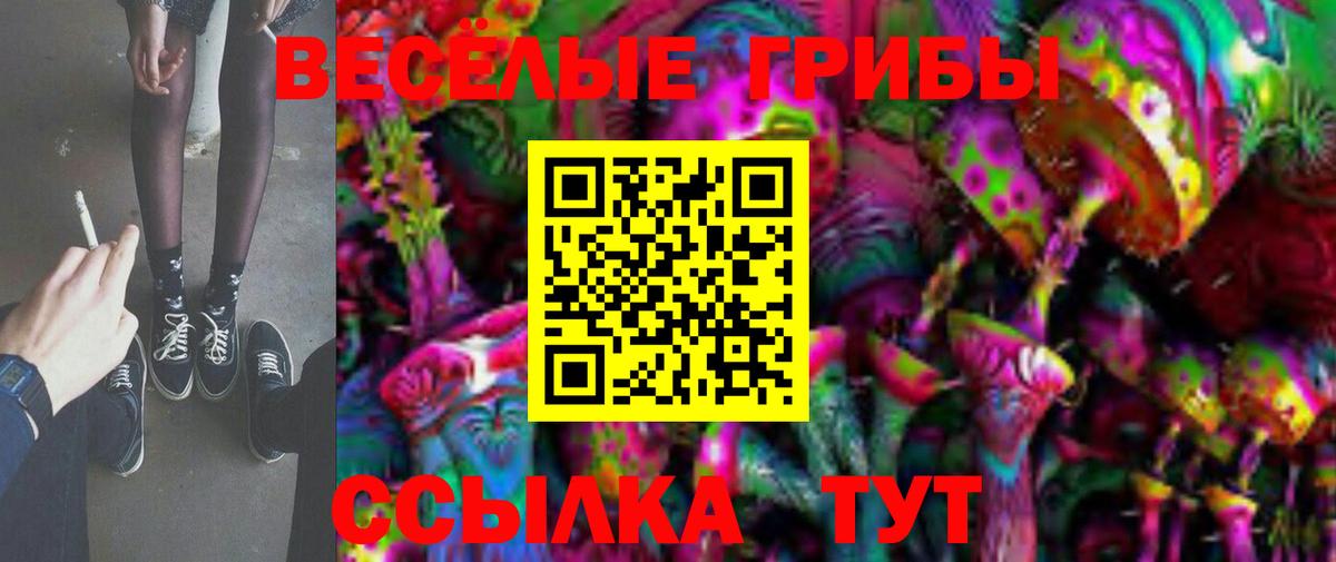 Фрязино  Галлюциногенные грибы GOLDEN TEACHER  купить наркотик  Вход с VPN 