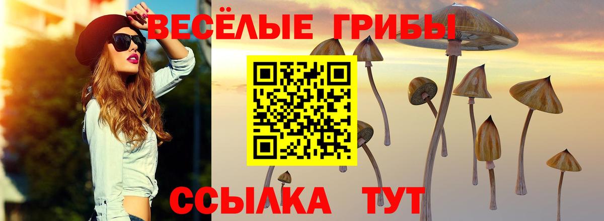 Галлюциногенные грибы прущие грибы Фрязино